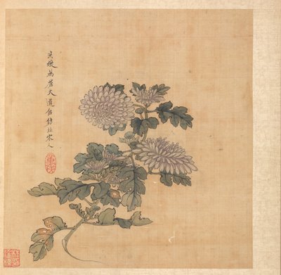 古代大师之后的绘画：菊花，1598-1652年。 作者 陈洪寿