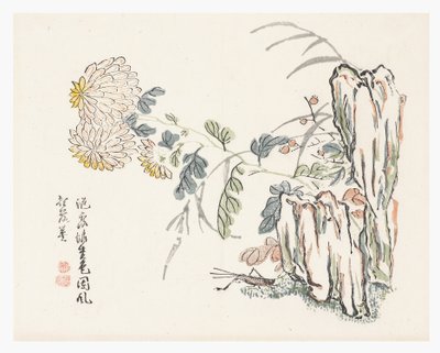 菊花，芥子园
手册 作者 成安（后）