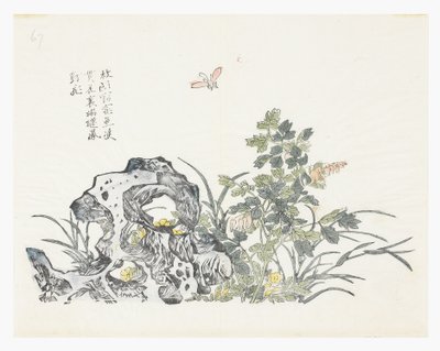 芥菜籽园 作者 郑妙（后）