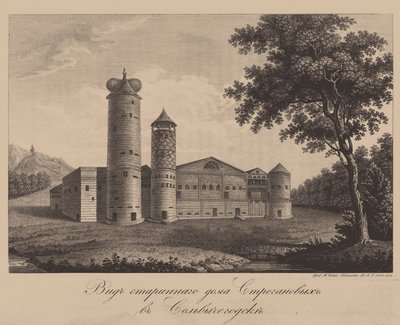 索尔维奇哥斯克的Stroganov家族老房子，1842年 作者 切斯基