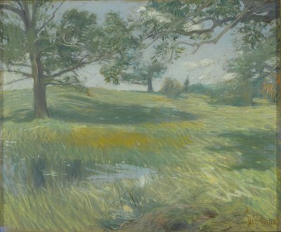 梅多斯，c.1900-10（画布上的粉彩） 作者 柴尔德·弗雷德里克·哈萨姆