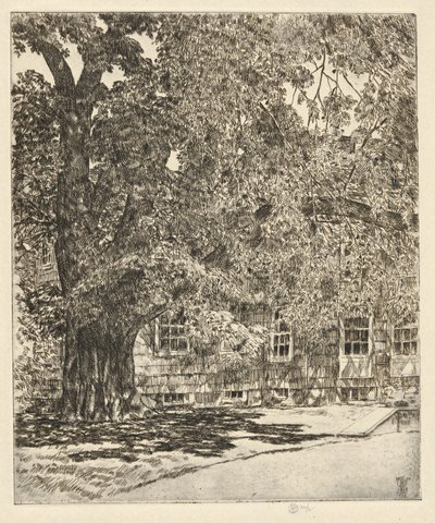 大榆树，1929 年 作者 柴尔德哈桑