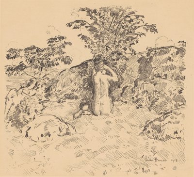 野樱桃树 作者 柴尔德哈桑