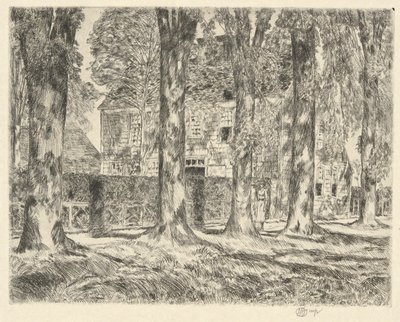 乡村榆树，1923 年 作者 柴尔德哈桑