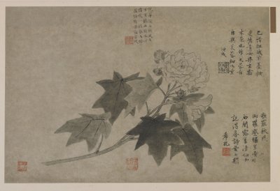 木牡丹的一个分支，可能是清朝（墨水在纸上） 作者 Chinese School