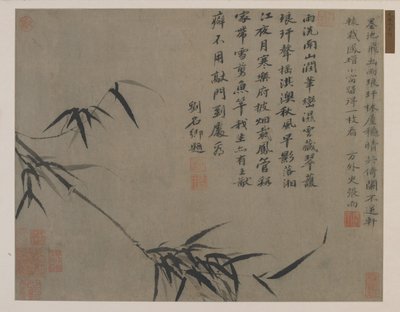 竹子的喷雾，可能是清朝（墨水在纸上） 作者 中文学校