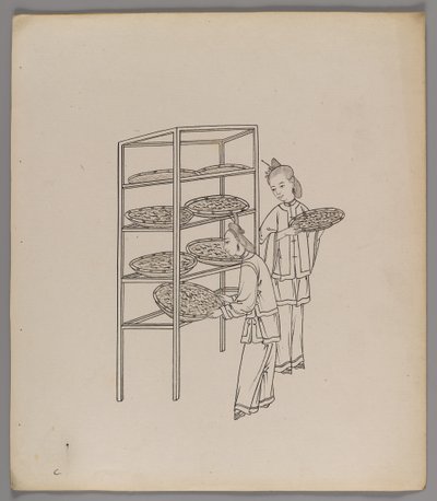 单独叶子的专辑：丝绸栽培和生产（纸上墨水）（另见499288-303） 作者 中文学校