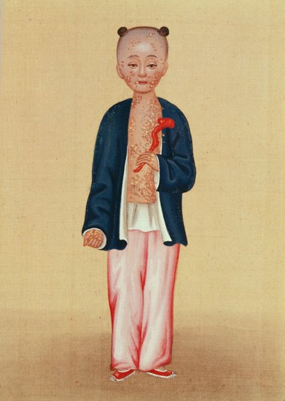 天花儿（纸上wc） 作者 中文学校