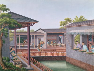 分级茶（纸上wc） 作者 中文学校