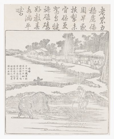 悲惨的稻田，十八世纪 作者 中文学校