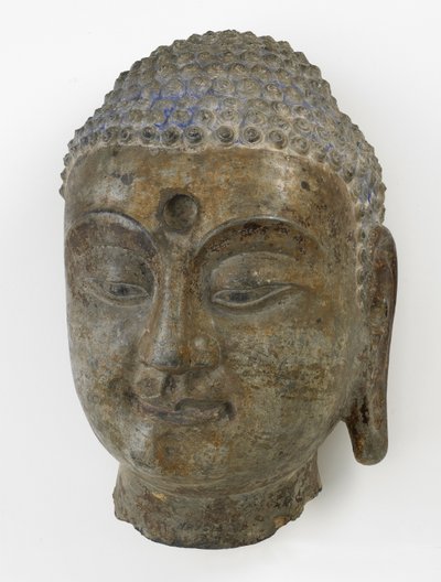 佛陀的头，分裂时期，550-577（石灰石） 作者 中文学校