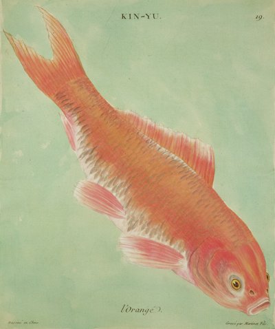LOrange，由Francois Nicholas Martinet雕刻（1731-p.1796）（打印） 作者 中文学校