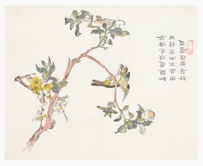 芥菜园 作者 中文学校