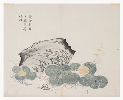 芥菜园 作者 中文学校