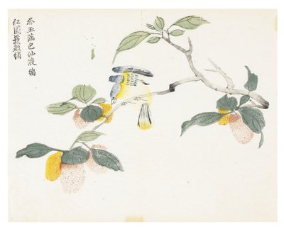 芥菜园 作者 中文学校