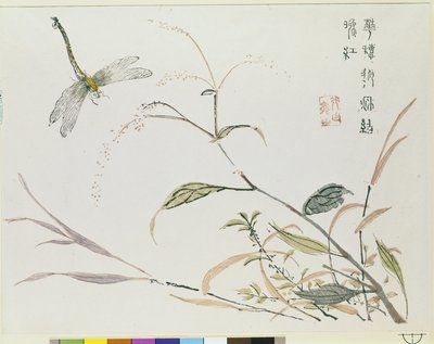 芥菜籽园 作者 中文学校