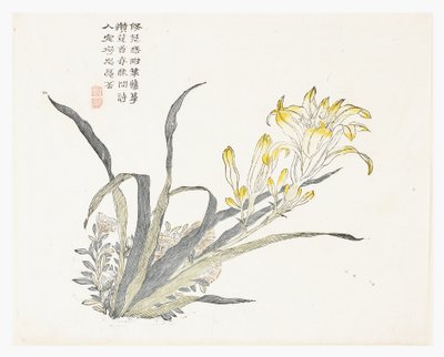 芥菜籽园 作者 中文学校