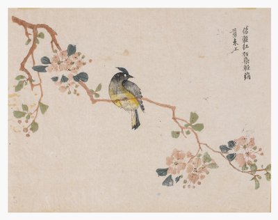 芥菜籽园 作者 中文学校