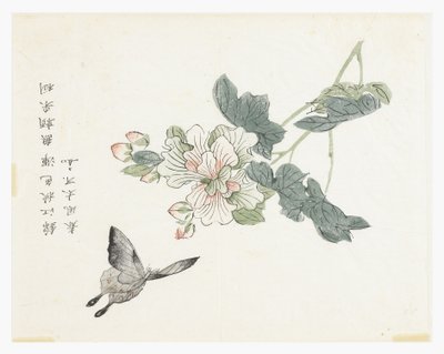 芥菜园 作者 中文学校