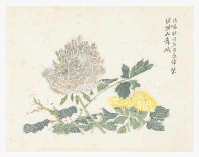 Mustard Seed Garden 作者 中文学校