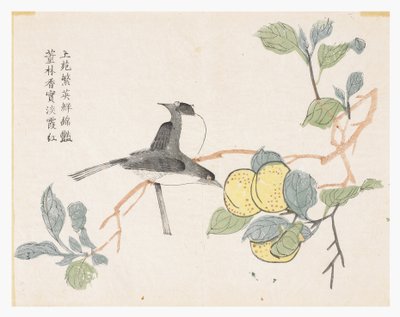 Mustard Seed Garden 作者 中文学校