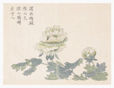 Mustard Seed Garden 作者 中文学校