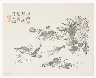 芥菜园 作者 中文学校