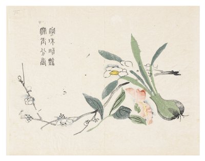 芥菜园 作者 中文学校