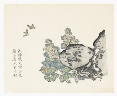 芥菜园 作者 中文学校