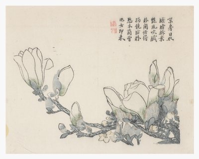 芥菜园 作者 中文学校