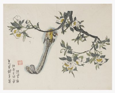 芥菜园 作者 中文学校