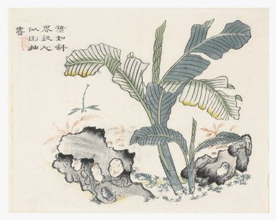 芥菜园 作者 中文学校