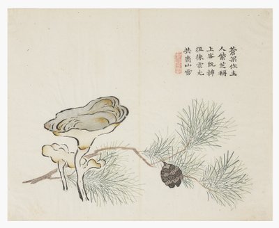 芥菜园 作者 中文学校