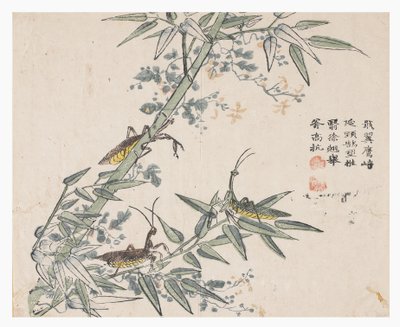 芥菜园 作者 中文学校