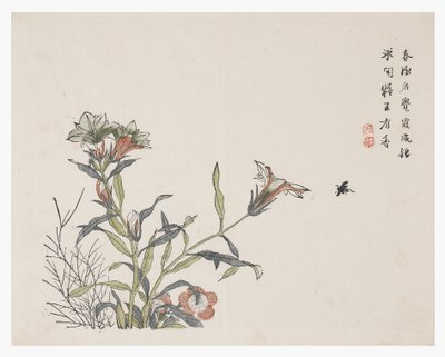 芥菜园 作者 中文学校