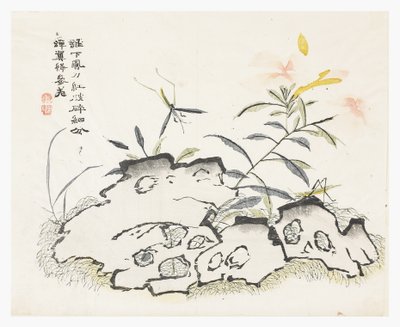 芥菜园 作者 中文学校