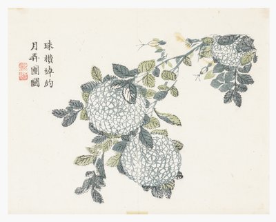 芥菜园 作者 中文学校