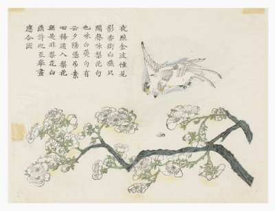 Mustard Seed Garden 作者 中文学校