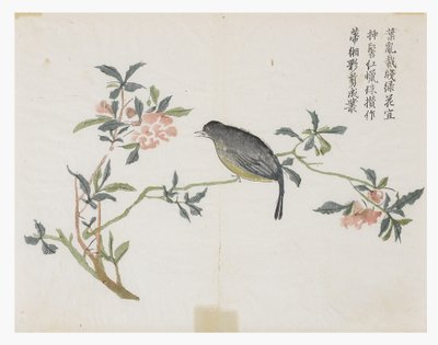 Mustard Seed Garden 作者 中文学校