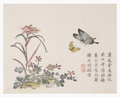 芥菜园 作者 中文学校