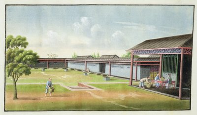 将小叶子分拣干燥（纸上wc） 作者 中文学校