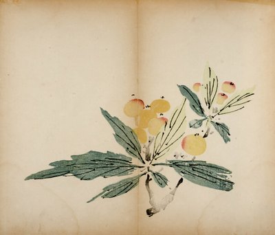 Ten Bamboo Studio Prints，1643（woodblock） 作者 中文学校
