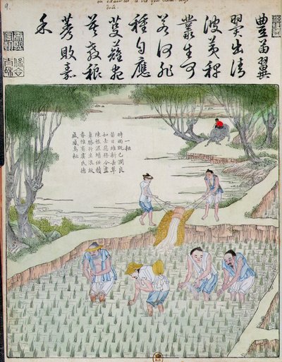 除草，中国的稻米文化（彩色木版画） 作者 中文学校