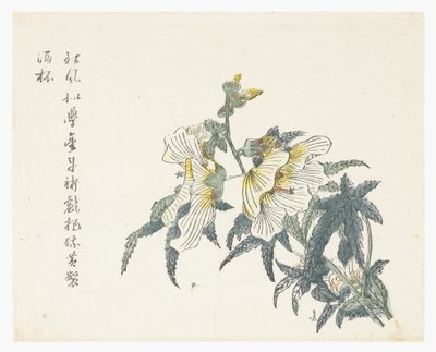 芥菜籽园 作者 仇黄（后）