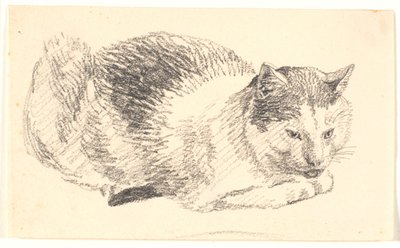 说谎的猫 作者 克里斯汀·科布（ChristenKøbke）