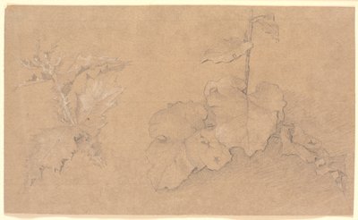 植物学家 作者 克里斯汀·科布（ChristenKøbke）