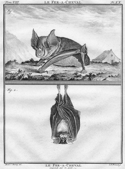 Le Fer-A-Cheval和Le Fer-A-Cheval脚下悬停，c1763。 作者 克里斯蒂安·弗里德里希·弗里茨奇