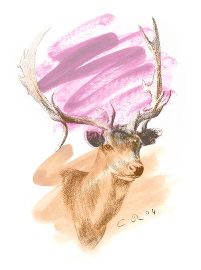 雄鹿头 - Cerise Sienna，2004 年（纸上油彩和 Conte） 作者 克里斯蒂安·福尔
