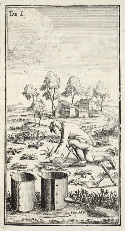 园丁收获，酒吧。 1753-55，图林根州的爱尔福特 作者 克里斯蒂安·雷查特