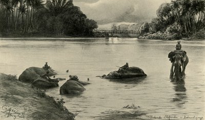 大象在Mahaweli河中洗澡，锡兰，1898年。   作者 克里斯蒂安·威廉·艾尔斯